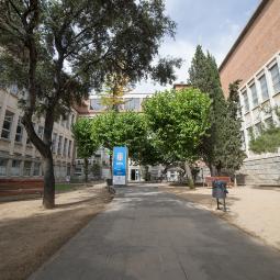 Universitat de Barcelona, Facultad de Bellas Artes