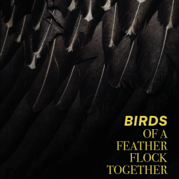 BIRDS - Sofia Brandes