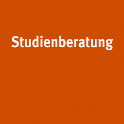  Mappen- & Studienberatung - Schwerpunkt MA Editorial Design - Prof. Sabine an Huef