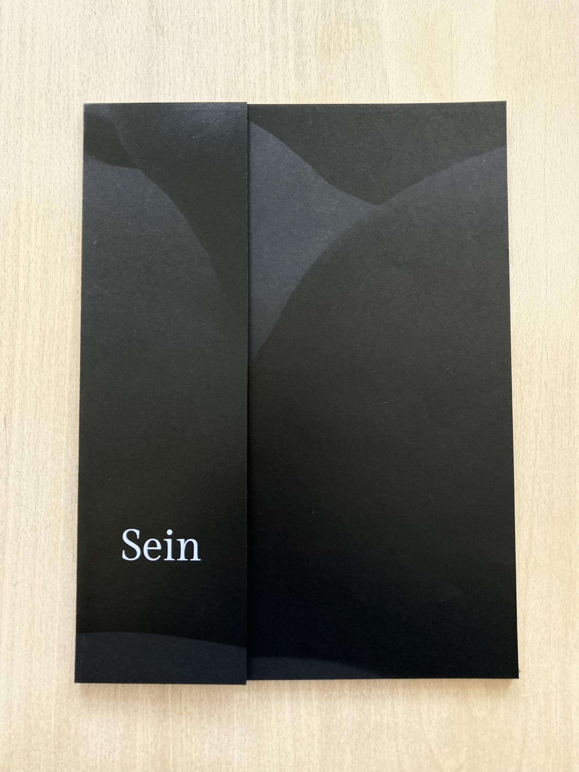 Cover, Schwarzdruck auf Schwarz, weibliche Körperform+ Titel "Sein"