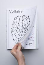 Voltaire #4