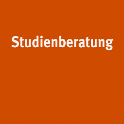 Ein oranges Bild mit weißem Text "Studienberatung"
